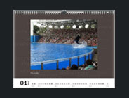calendrier photo