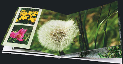 livre photo carre avec papier photo