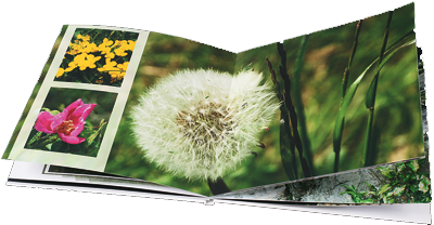 modeles de livres photo avec papier photo