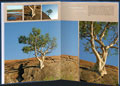 livre photo A4 portrait comboost