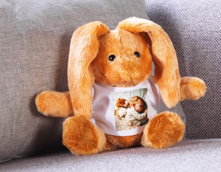 peluche lapin avec photo