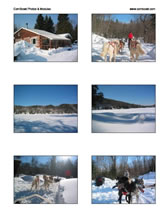 Upload photos