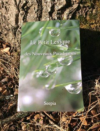 Ouvrage collectif 
Editions Seepia
Parution 2017
&url=https://www.seepia.net/lexique Photo: Le Petit Lexique des Nouv...