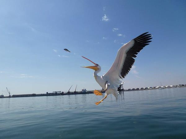 &url=http://www.lavoixdukokopelli.com/Nos%20voyages/Nos%20voyages.html Photo: Namibie