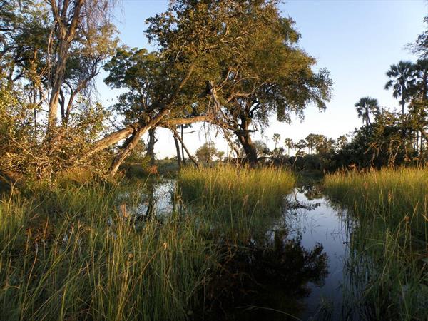 &url=http://www.lavoixdukokopelli.com/Nos%20voyages/Nos%20voyages.html Photo: Botswana