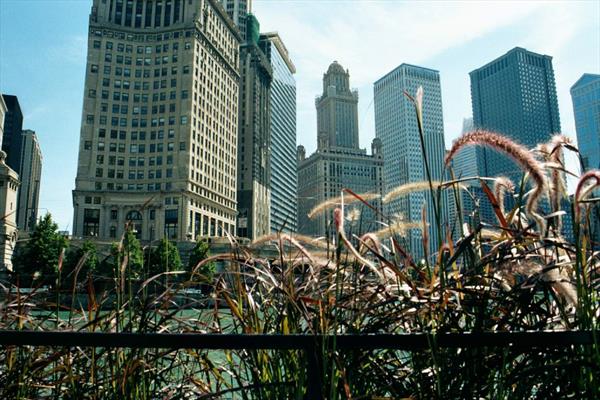  Photo: Route 66 Chicago River 