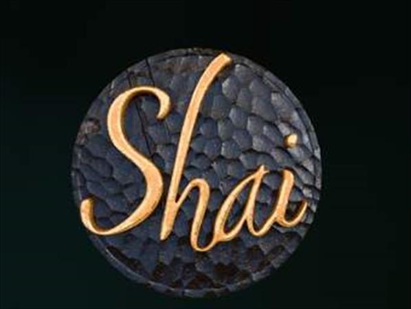  Photo: logo SHAI.png