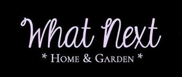  Photo: logo what next.png