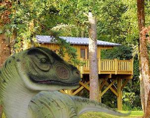  Cabane perchée Jurassic 