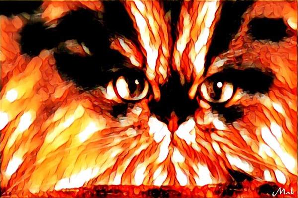  Photo: fire cat.jpg