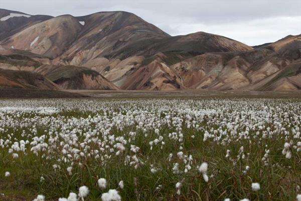  Photo: EnvoutanteIslande.jpg