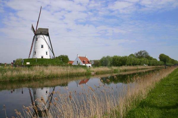  Photo: vakantiewoningen-damse-vaart-molen.jpg