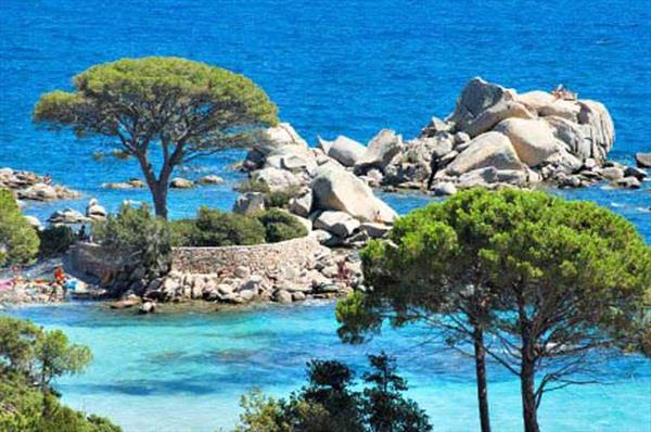  Photo: corse-pins-tamaricciu.jpg