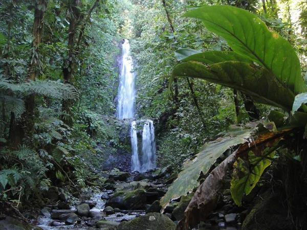  Photo: Commune de Goyave