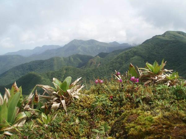  Photo: Vue du sommet vers le Nord