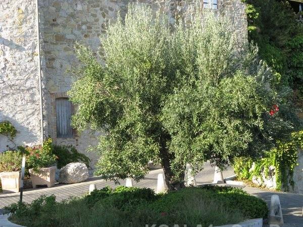  Photo: Photo 041.jpg