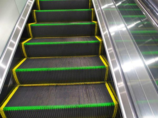  Photo: P8190729.jpg