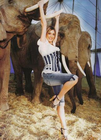  Photo: Closer6.jpg