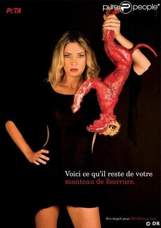  Photo: Peta1.jpg