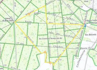 Marche du 27 Octobre 2024