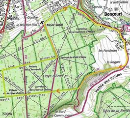 Marche du 8 Décembre 2024