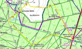 Marche du 24 Novembre 2024