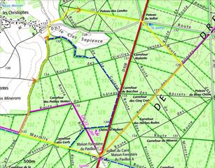 Marche du 15 septembre 2024