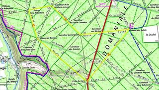 Marche du 10 Novembre 2024