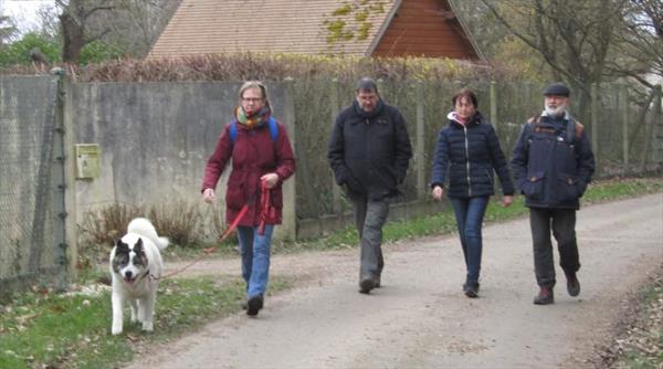  Photo: p16.JPG
