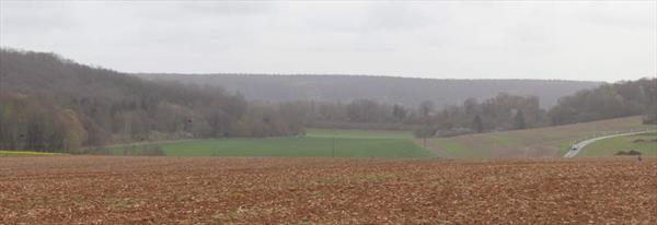  Photo: p10.jpg