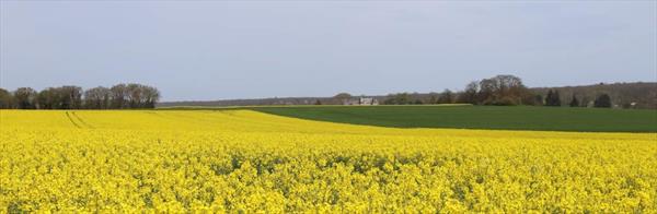  Photo: p32.jpg