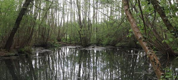  Photo: p1.jpg