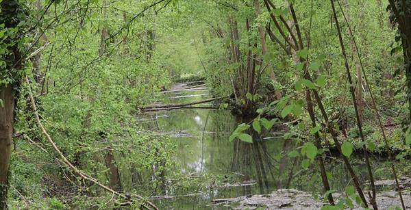  Photo: p3.jpg