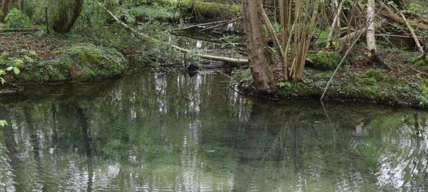  Photo: p4.jpg