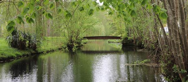  Photo: p5.jpg