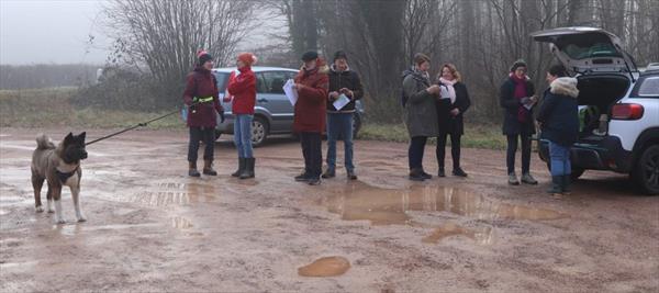  Photo: p6.jpg