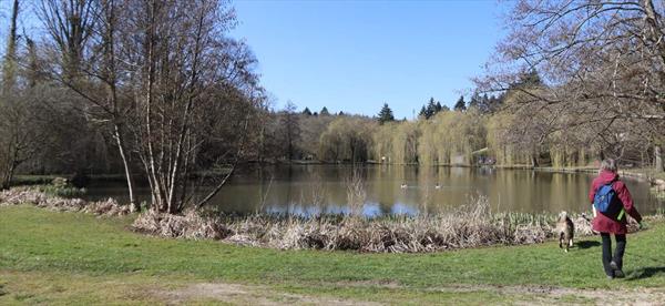  Photo: p12.jpg