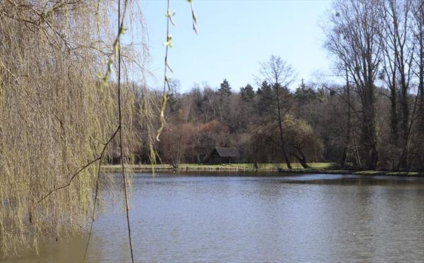  Photo: p15.jpg