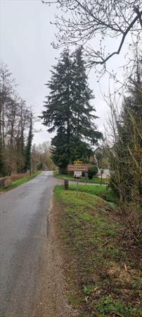  Photo: PHOTO-2025-7.jpg
