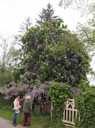 Photo: p8.jpg