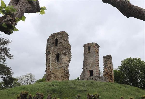  Photo: q7.jpg