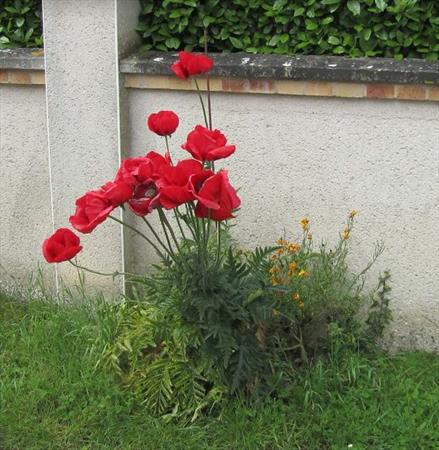  Photo: p13.jpg