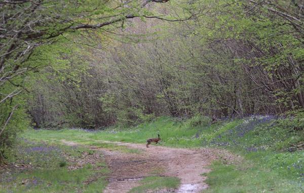 Photo: p1.jpg