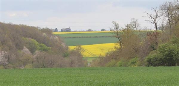  Photo: p6.jpg