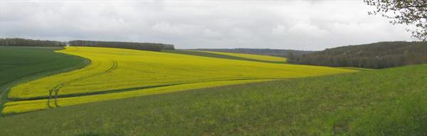  Photo: p9.jpg