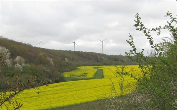 Photo: p12.jpg