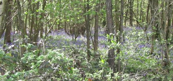  Photo: p13.jpg