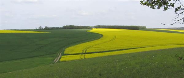  Photo: p17.jpg