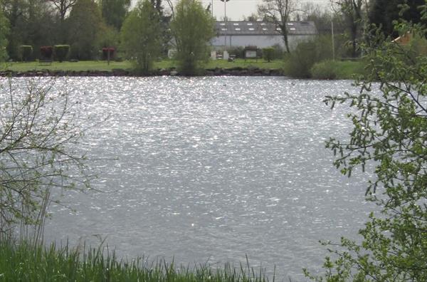  Photo: oul4.jpg