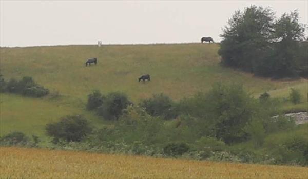  Photo: p4.jpg